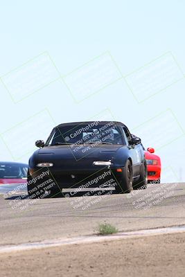 media/Jul-26-2025-Speed Ventures (Sat) [[fe569e6cf0]]/Purple Group/Grapevine/